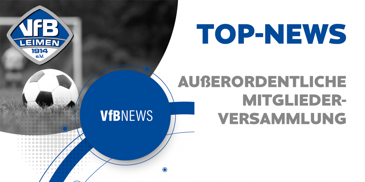Außerordentliche Mitgliederversammlung 